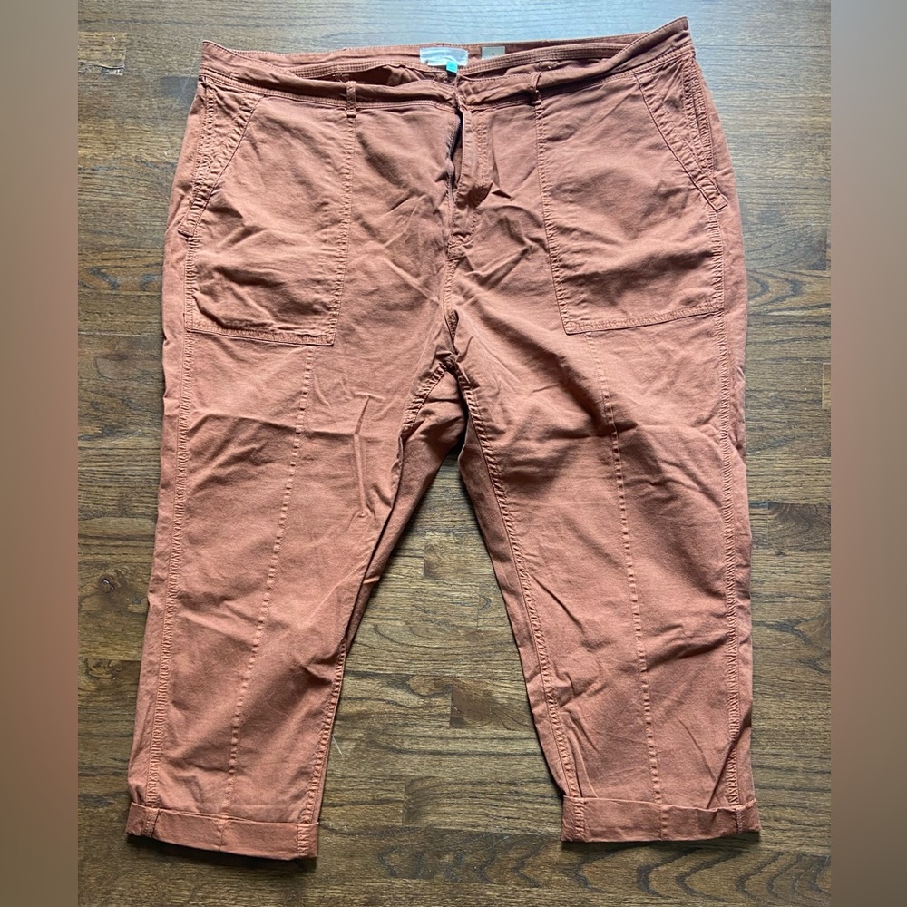 Anthropologie plus pants